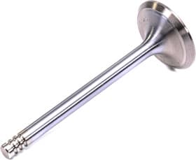 Впускной клапан