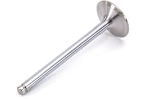 Впускной клапан