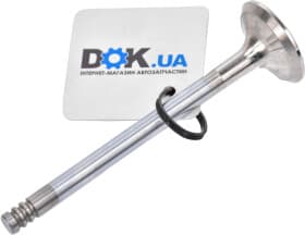 Выпускной клапан