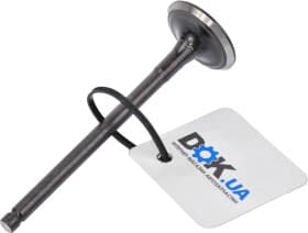 Выпускной клапан