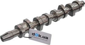 Распредвал Borsehung B17861