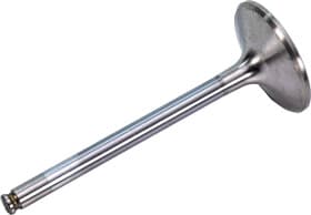 Впускной клапан