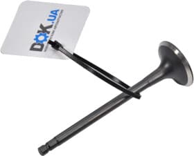 Выпускной клапан