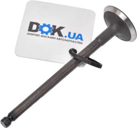 Впускной клапан