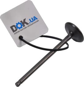 Впускной клапан Впускной клапан