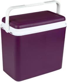 Термобокс Adriatic 8002936807502 24 л