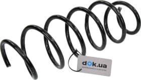 Пружина подвески RAISO sr191tp