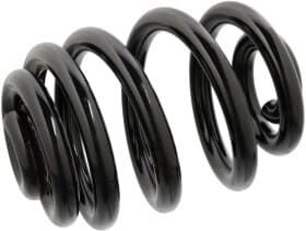 Пружина підвіски