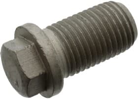 Сливная пробка масляного поддона