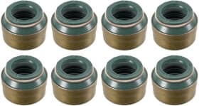 Комплект сальників клапанів Комплект сальників клапанів