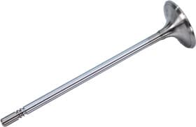 Впускной клапан