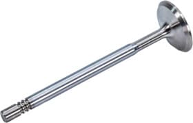 Впускной клапан