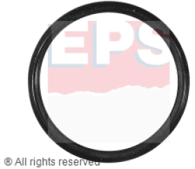 Прокладка термостата Прокладка термостата