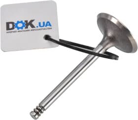 Впускной клапан