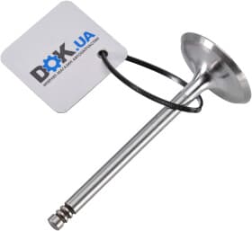 Впускний клапан