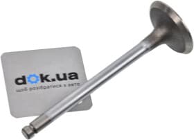 Впускной клапан