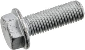 Болт корпуса скобы тормоза