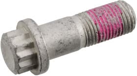 Болт корпуса скоби гальма Болт корпуса скоби гальма