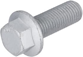 Болт корпуса скоби гальма