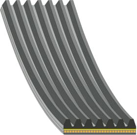 Поліклиновий ремінь