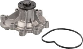 Помпа Помпа