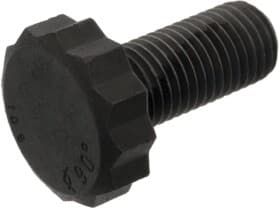 Болт кріплення маховика