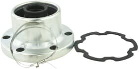 Пильовик гранати