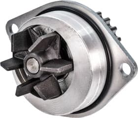 Помпа Помпа