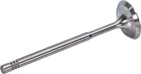 Впускной клапан