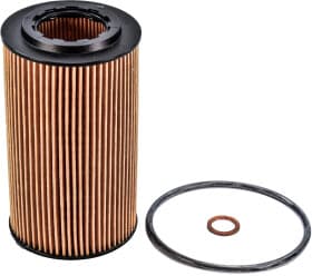 Оливний фільтр