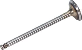 Впускний клапан