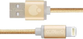 Кабель COTEetCI M30i CS2127-3M-GD USB - Apple Lightning 3 м