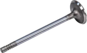 Впускной клапан