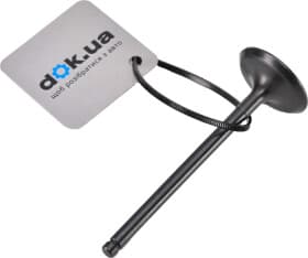 Впускний клапан