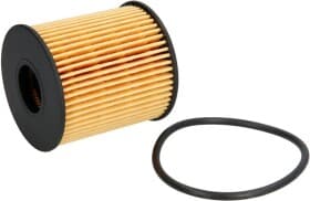 Оливний фільтр