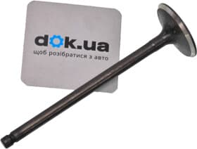 Впускной клапан