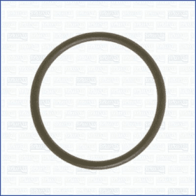 Прокладка впускного коллектора