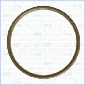 Ущільнювальне кільце зливної пробки