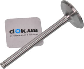 Впускной клапан