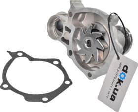 Помпа Помпа