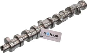 Распредвал Kolbenschmidt 50006110