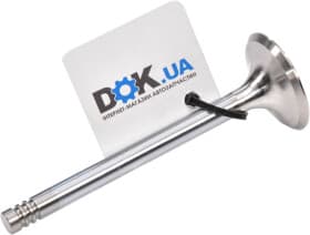 Впускной клапан