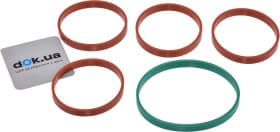 Комплект прокладок впускного коллектора Reinz 11-38221-01