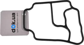 Прокладка болта клапанної кришки Reinz 702896800