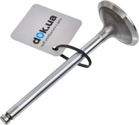 Впускной клапан