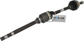 Піввісь Піввісь