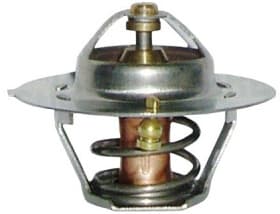 Термостат Magneti Marelli 352317101040