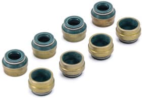 Комплект сальников клапанов Reinz 12-25837-01