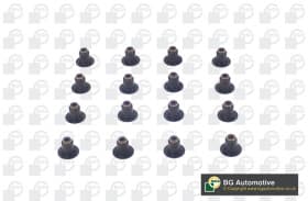 Комплект сальників клапанів Комплект сальників клапанів