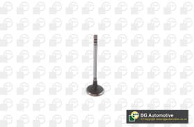 Впускний клапан Впускний клапан